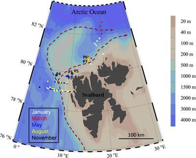 Asynchronous Accumulation of Organic Carbon and Nitrogen in the Atlantic Gateway to the Arctic Ocean